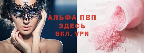 индика Заволжье