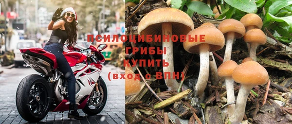 mdpv Зеленодольск