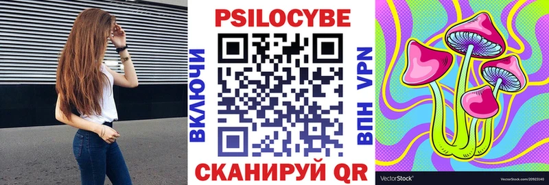 Купить где  Купино  Псилоцибиновые грибы GOLDEN TEACHER 